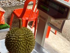 -都念榴莲·城市榴莲