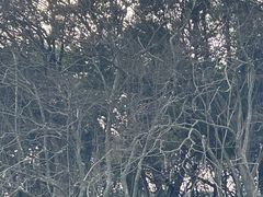 -杭州植物园