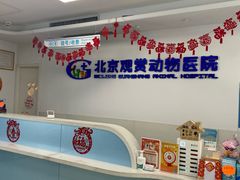 -北京观赏动物医院·24小时大型综合·猫专科·异宠专科