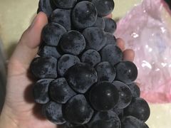-向葡萄庄园