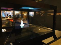 -盘龙城遗址博物院