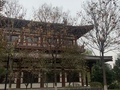 -西安青龙寺遗址景区
