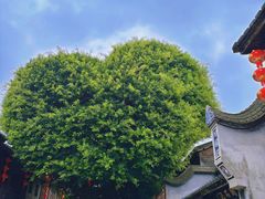 -福屿鲜捞小吃·捞化(福屿总店)
