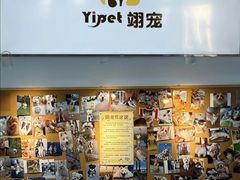 -翊宠yipet猫狗购宠庄园犬舍•猫舍