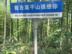 -莫干山风景区