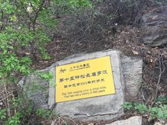 -大芦花风景区