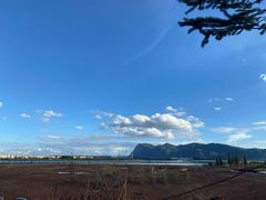 -爱伲PLUS·牛肉海鲜自助火锅(融创店)