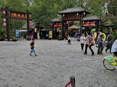 -合肥滨湖国家森林公园