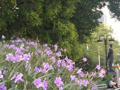 英雄广场-英雄广场