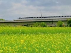 -光明小镇欢乐田园