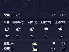 -山河屯铁锅炖(哈西站店)