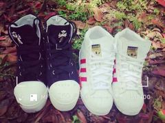 -艾溪湖湿地公园