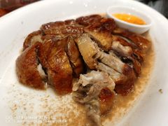 深井烧鹅-周锦记广式餐厅