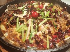 -老板恋上鱼(印象城店)