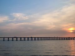 -宝安西湾红树林湿地公园