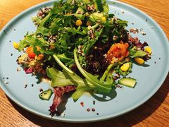 百好乐沙拉-百好乐宠物友好餐厅(朝外大街店)