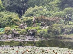 -杭州植物园