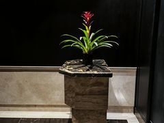 -京香轩·中餐厅(上海中庚聚龙酒店)