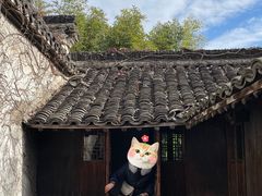-乌镇景区
