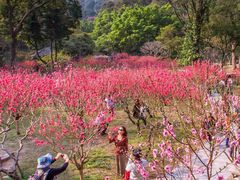 -桃花涧