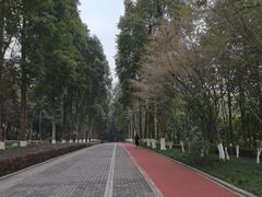 -龙头寺公园