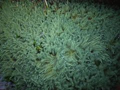 -贵阳市花溪国家城市湿地公园