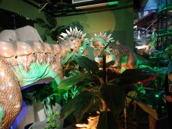 点击看大图 -恐龙探索乐园(磁器口店)