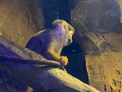 -波塞冬旅游度假区