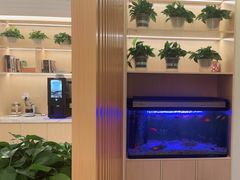 -智慧盲人按摩艾灸-颈肩腰膝疼痛调理(浦东店)