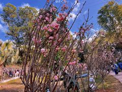 -求水山公园