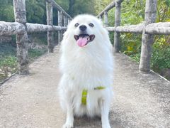 -宝界山林公园