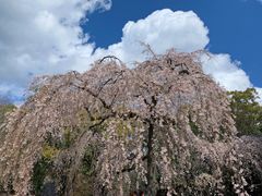 -京都御所