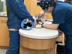 -联合动物医院(光谷诊疗中心)
