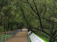 -西湖风景区-江洋畈生态公园