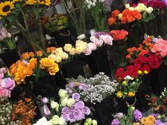 -ChaKo Flora ·茶子花艺 (市北店)