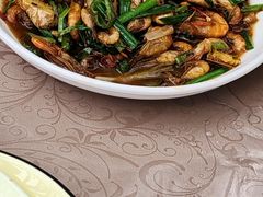 -遇龙河大樟树农家乐