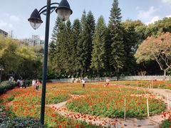 -晓港公园