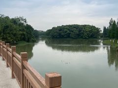 -艾溪湖湿地公园