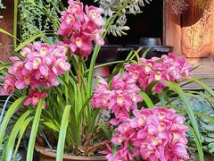 -龙姐私房菜(和顺古镇店)