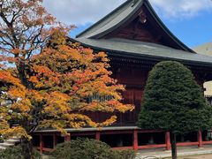 -医王山·飞騨国分寺