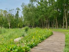 -同里国家湿地公园
