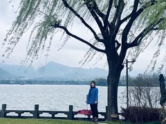 -杭州西湖柳莺里酒店