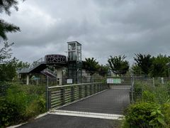 -东平国家森林公园