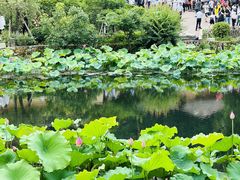 -韶山毛泽东同志故居