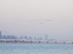 -海堤纪念公园