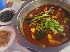 -川囧肥肠鸡·美蛙鱼锅(平高广场店)