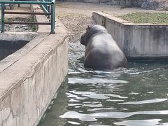 -哈尔滨北方森林动物园