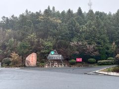 -江南天池