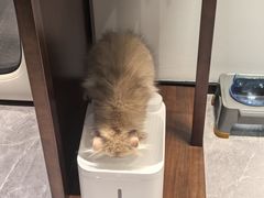 -博特宠物医院24h犬猫全科.骨科·异宠