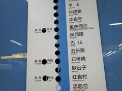 -大龙山(地铁站)